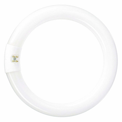 Picture of CIRCULAR FLUORESCENT LAMP T94100K 6 IN