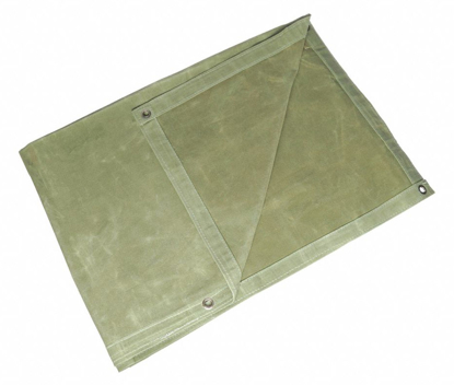 Picture of TARP