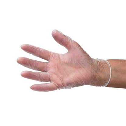 Picture of VINYL DISPOSABLE GLOVES- 2.7 MIL- POWDER FREE- L (1000 /CS)