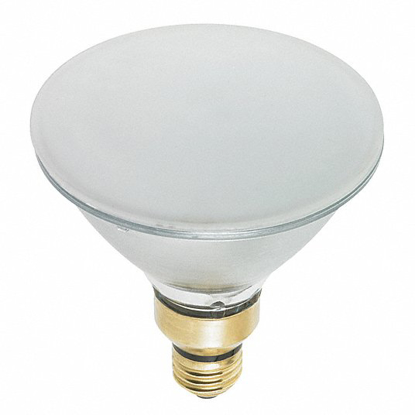Picture of HALOGEN FLOODLIGHT- PAR38- LUMENS 1000- WATTS 75/66- PK 6
