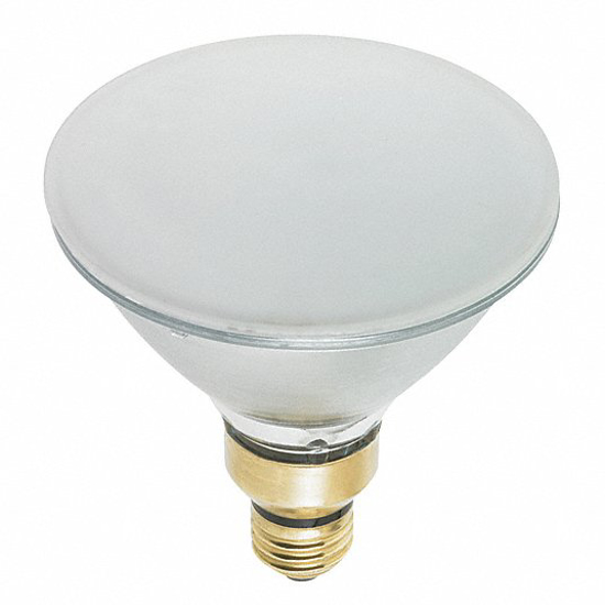 Picture of HALOGEN FLOODLIGHT- PAR38- LUMENS 1000- WATTS 75/66- PK 6