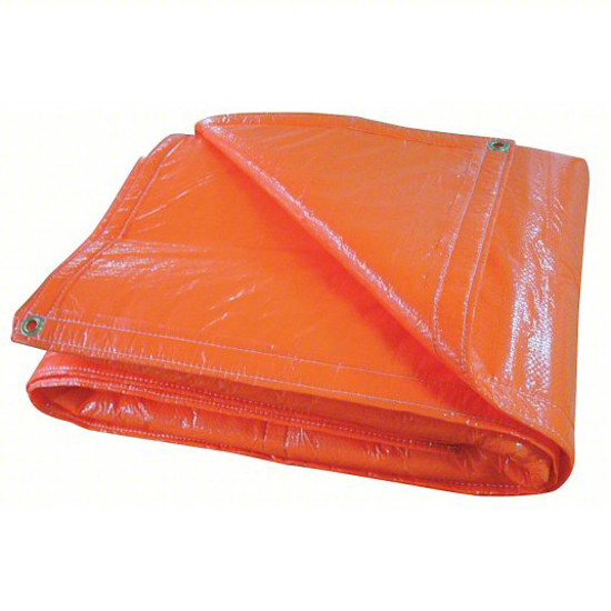Picture of TARP