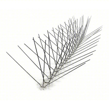 Picture of BIRD REPELLENT SPIKES, STAINLESS STEEL